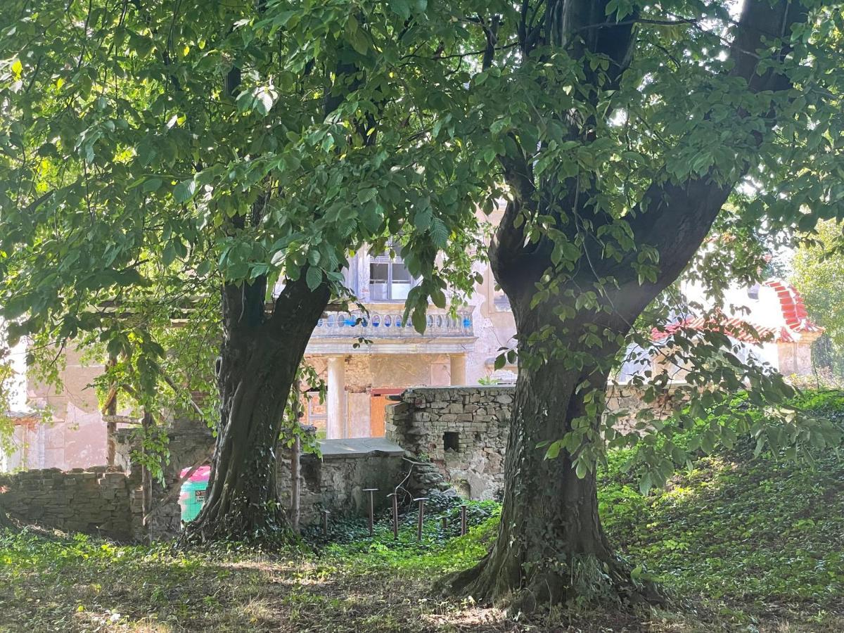 Chateau Moravany - Apartmany, Teepee A Wellness Ronow an der Doubrava 外观 照片