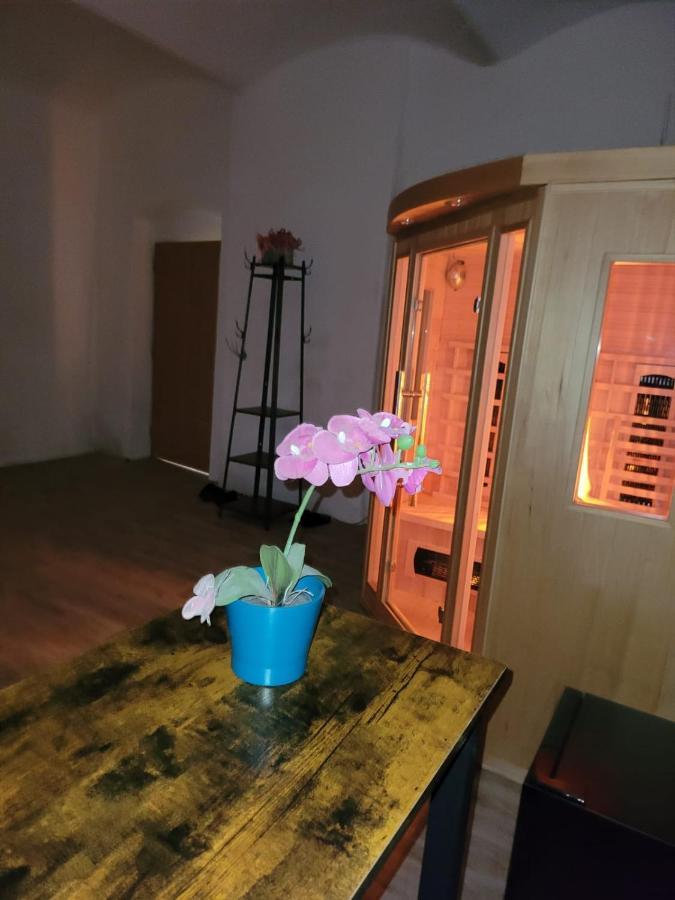 Chateau Moravany - Apartmany, Teepee A Wellness Ronow an der Doubrava 外观 照片