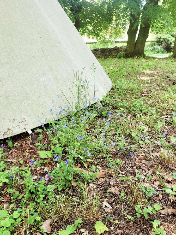 Chateau Moravany - Apartmany, Teepee A Wellness Ronow an der Doubrava 外观 照片