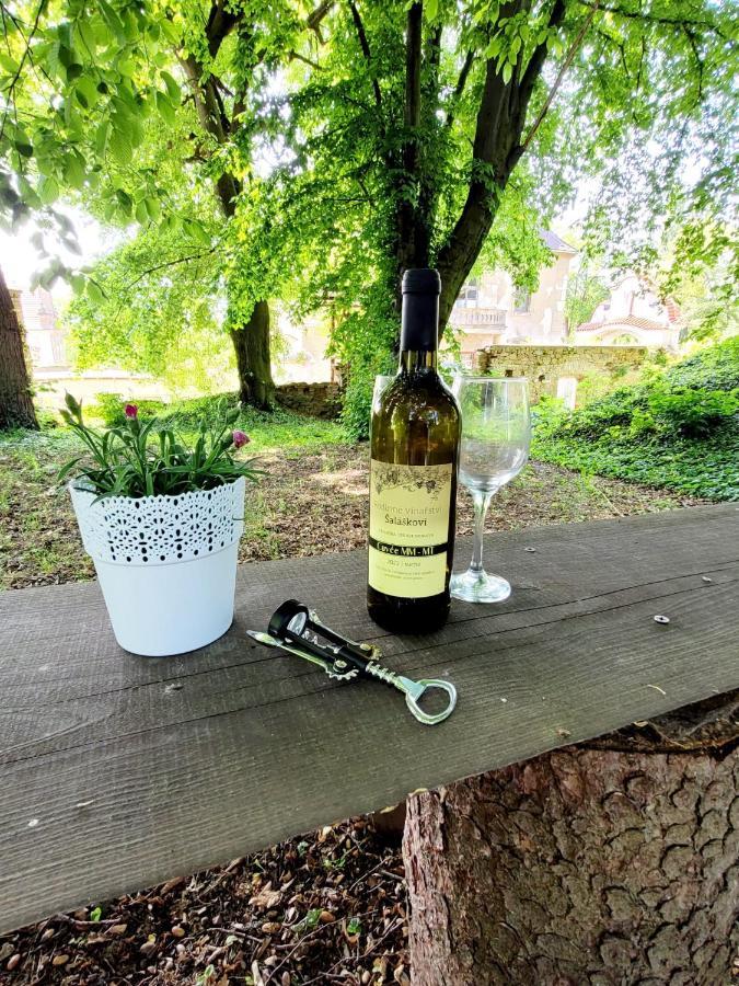 Chateau Moravany - Apartmany, Teepee A Wellness Ronow an der Doubrava 外观 照片