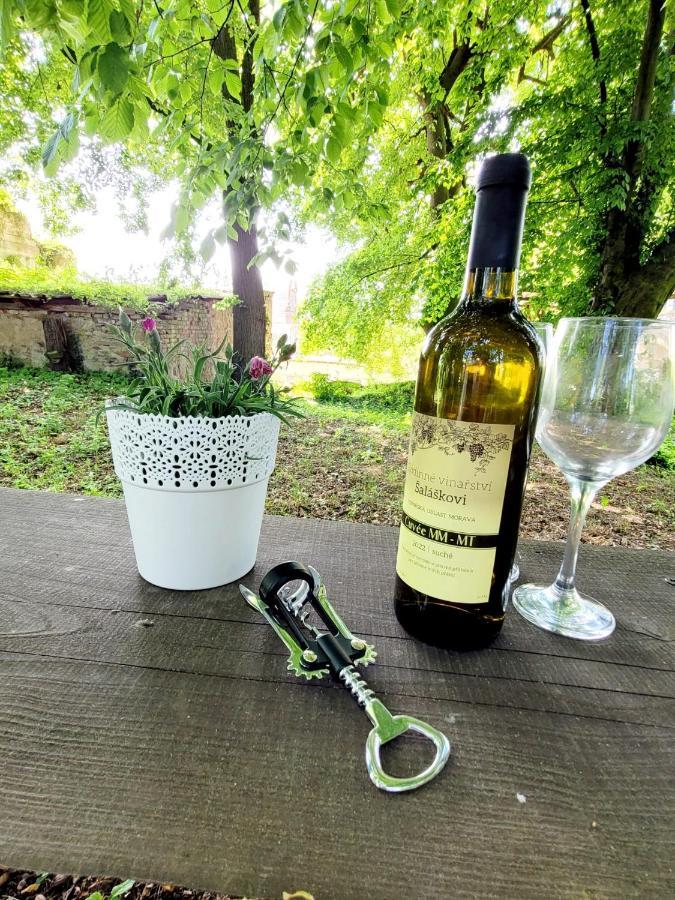 Chateau Moravany - Apartmany, Teepee A Wellness Ronow an der Doubrava 外观 照片