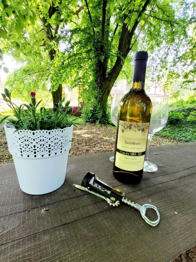 Chateau Moravany - Apartmany, Teepee A Wellness Ronow an der Doubrava 外观 照片